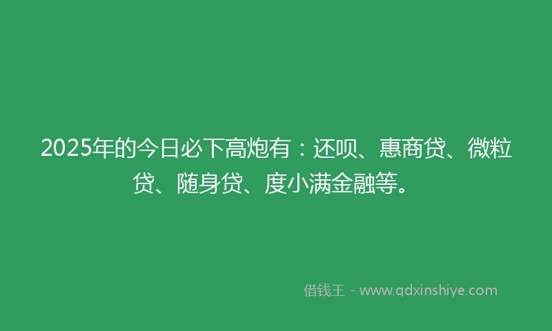 2025年的今日必下高炮有：还呗、惠商贷、微粒贷、随身贷、度小满金融等。