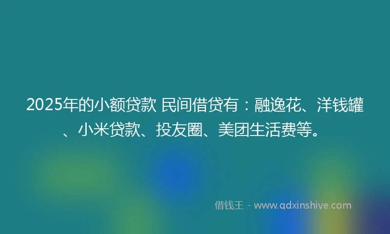 2025年的小额贷款 民间借贷有：融逸花、洋钱罐、小米贷款、投友圈、美团生活费等。