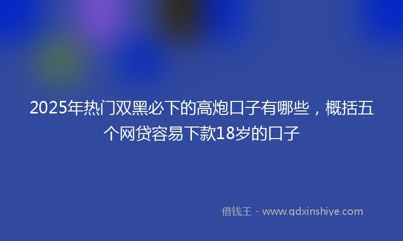 2025年热门双黑必下的高炮口子有哪些，概括五个网贷容易下款18岁的口子