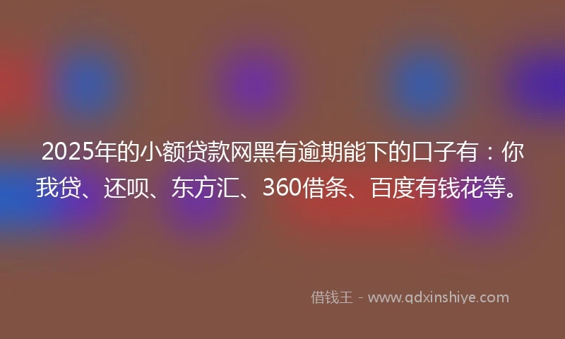 2025年的小额贷款网黑有逾期能下的口子有：你我贷、还呗、东方汇、360借条、百度有钱花等。