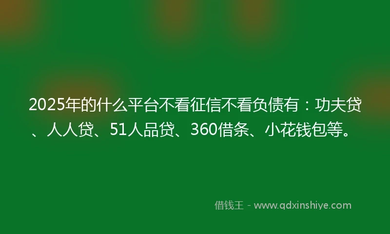 2025年的什么平台不看征信不看负债有：功夫贷、人人贷、51人品贷、360借条、小花钱包等。