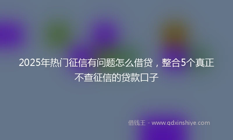 2025年热门征信有问题怎么借贷，整合5个真正不查征信的贷款口子