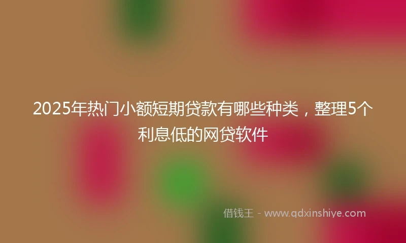 2025年热门小额短期贷款有哪些种类，整理5个利息低的网贷软件