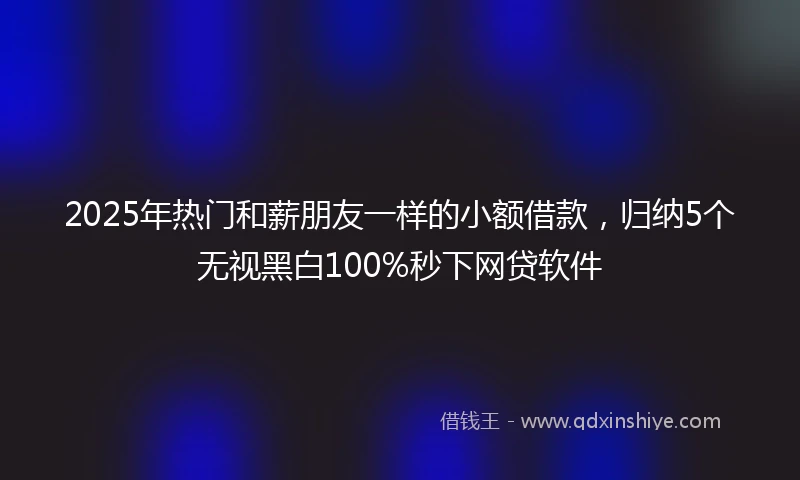 2025年热门和薪朋友一样的小额借款，归纳5个无视黑白100%秒下网贷软件
