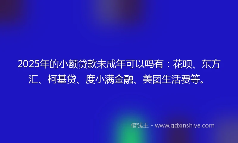 2025年的小额贷款未成年可以吗有：花呗、东方汇、柯基贷、度小满金融、美团生活费等。