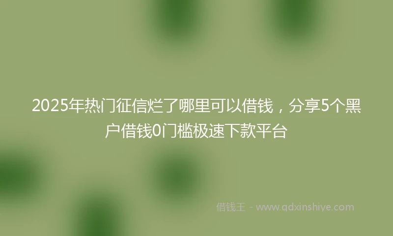 2025年热门征信烂了哪里可以借钱，分享5个黑户借钱0门槛极速下款平台
