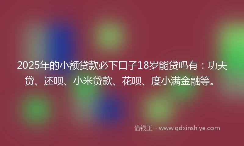 2025年的小额贷款必下口子18岁能贷吗有：功夫贷、还呗、小米贷款、花呗、度小满金融等。