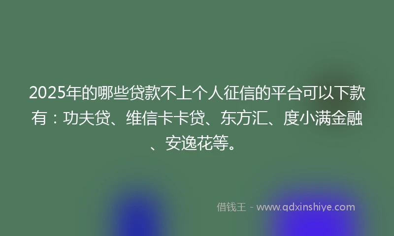 2025年的哪些贷款不上个人征信的平台可以下款有：功夫贷、维信卡卡贷、东方汇、度小满金融、安逸花等。