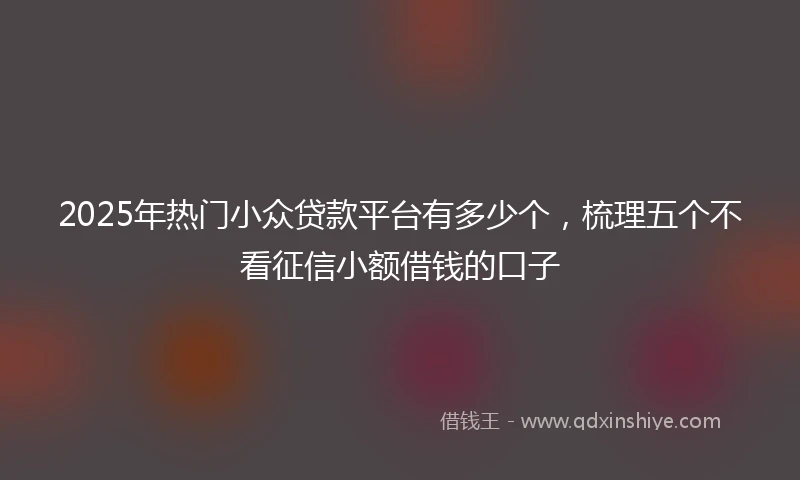 2025年热门小众贷款平台有多少个，梳理五个不看征信小额借钱的口子