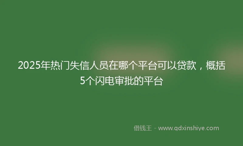 2025年热门失信人员在哪个平台可以贷款，概括5个闪电审批的平台