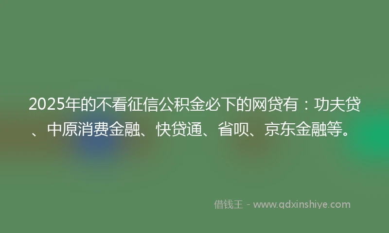 2025年的不看征信公积金必下的网贷有：功夫贷、中原消费金融、快贷通、省呗、京东金融等。