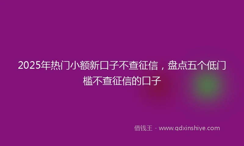 2025年热门小额新口子不查征信，盘点五个低门槛不查征信的口子