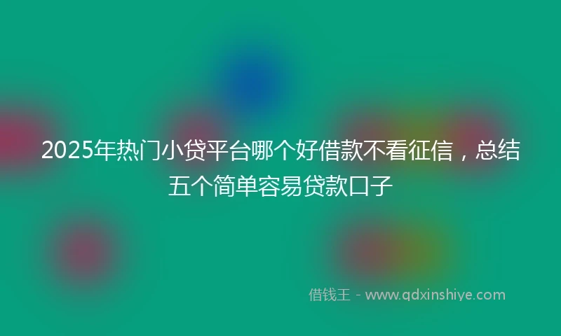 2025年热门小贷平台哪个好借款不看征信，总结五个简单容易贷款口子