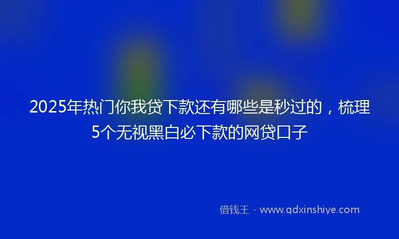 2025年热门你我贷下款还有哪些是秒过的，梳理5个无视黑白必下款的网贷口子