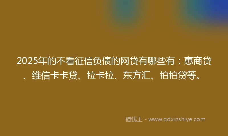 2025年的不看征信负债的网贷有哪些有：惠商贷、维信卡卡贷、拉卡拉、东方汇、拍拍贷等。