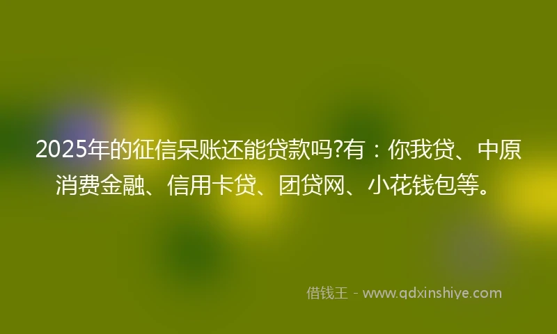 2025年的征信呆账还能贷款吗?有：你我贷、中原消费金融、信用卡贷、团贷网、小花钱包等。