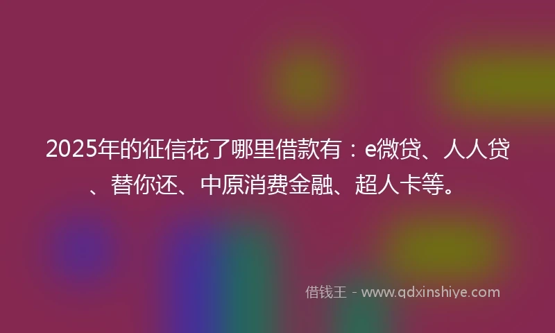 2025年的征信花了哪里借款有：e微贷、人人贷、替你还、中原消费金融、超人卡等。