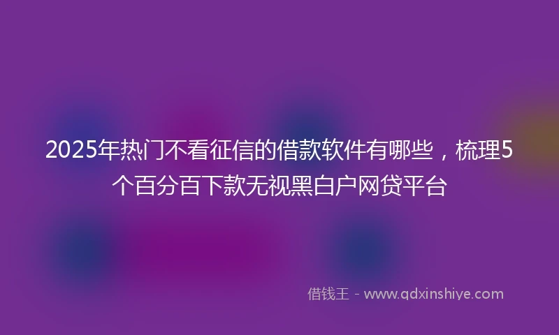 2025年热门不看征信的借款软件有哪些，梳理5个百分百下款无视黑白户网贷平台