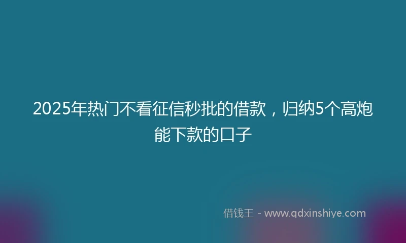 2025年热门不看征信秒批的借款，归纳5个高炮能下款的口子
