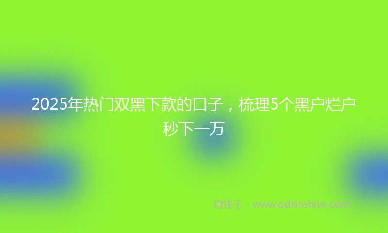 2025年热门双黑下款的口子，梳理5个黑户烂户秒下一万