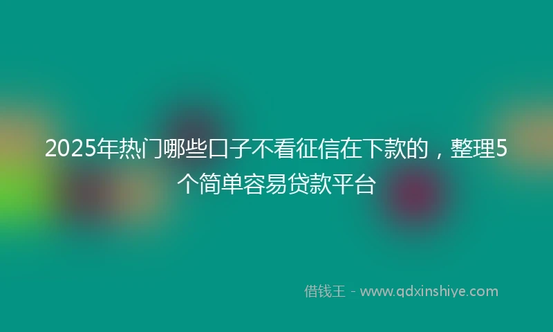 2025年热门哪些口子不看征信在下款的，整理5个简单容易贷款平台