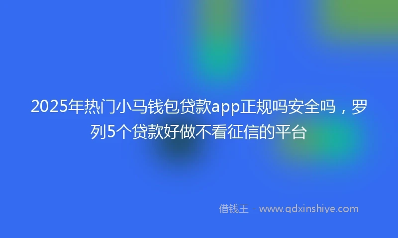 2025年热门小马钱包贷款app正规吗安全吗，罗列5个贷款好做不看征信的平台