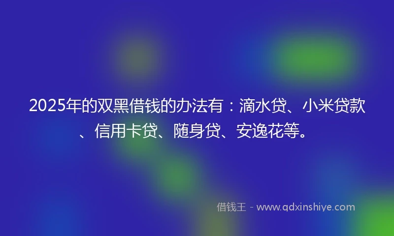 2025年的双黑借钱的办法有：滴水贷、小米贷款、信用卡贷、随身贷、安逸花等。