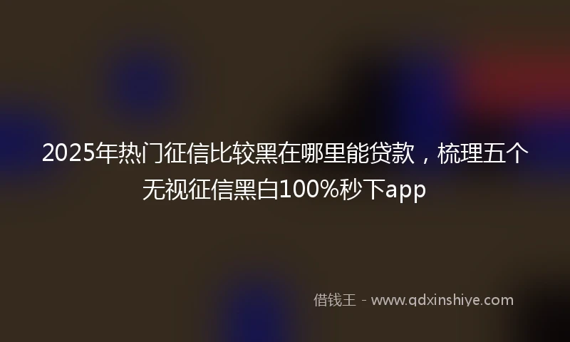 2025年热门征信比较黑在哪里能贷款，梳理五个无视征信黑白100%秒下app