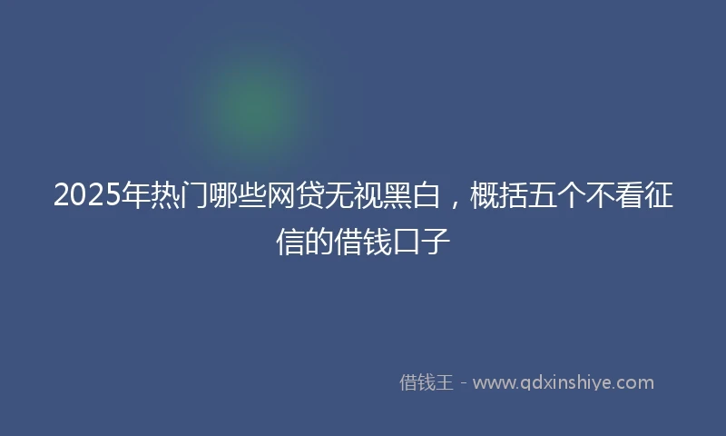 2025年热门哪些网贷无视黑白，概括五个不看征信的借钱口子