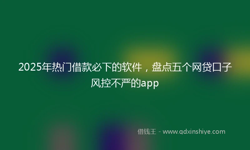 2025年热门借款必下的软件，盘点五个网贷口子风控不严的app