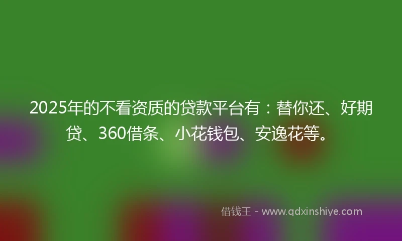 2025年的不看资质的贷款平台有：替你还、好期贷、360借条、小花钱包、安逸花等。