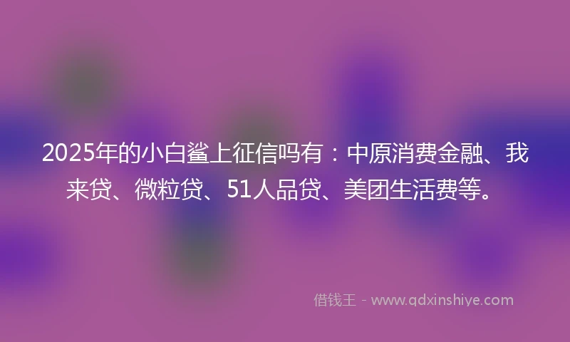 2025年的小白鲨上征信吗有：中原消费金融、我来贷、微粒贷、51人品贷、美团生活费等。