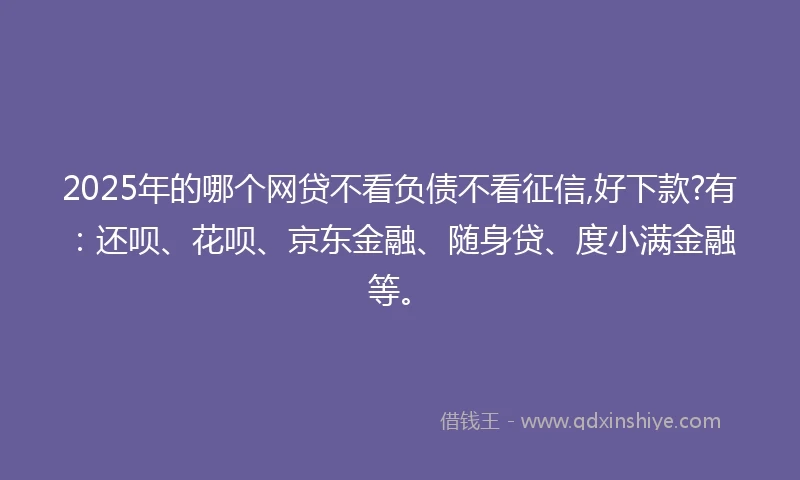 2025年的哪个网贷不看负债不看征信,好下款?有：还呗、花呗、京东金融、随身贷、度小满金融等。