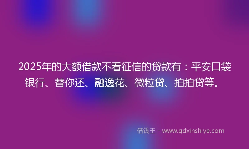 2025年的大额借款不看征信的贷款有：平安口袋银行、替你还、融逸花、微粒贷、拍拍贷等。