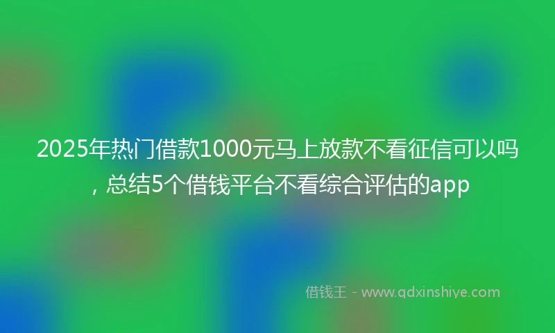 2025年热门借款1000元马上放款不看征信可以吗，总结5个借钱平台不看综合评估的app