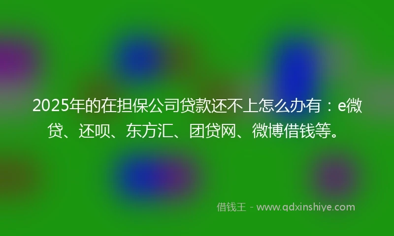 2025年的在担保公司贷款还不上怎么办有：e微贷、还呗、东方汇、团贷网、微博借钱等。