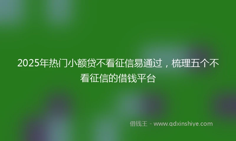 2025年热门小额贷不看征信易通过，梳理五个不看征信的借钱平台
