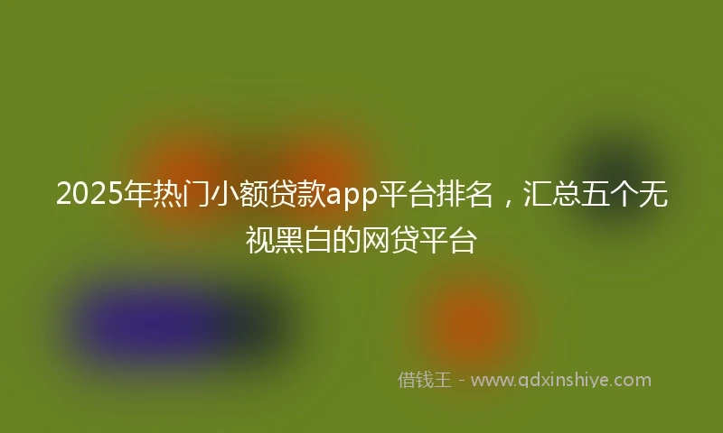 2025年热门小额贷款app平台排名，汇总五个无视黑白的网贷平台