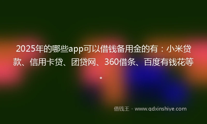 2025年的哪些app可以借钱备用金的有：小米贷款、信用卡贷、团贷网、360借条、百度有钱花等。