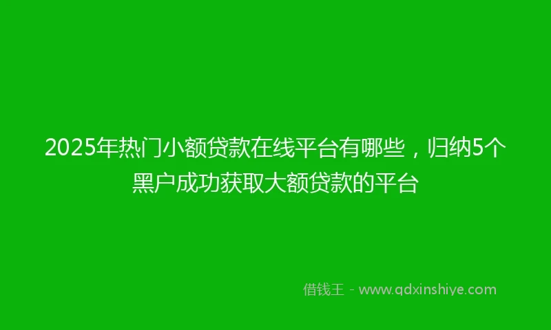 2025年热门小额贷款在线平台有哪些，归纳5个黑户成功获取大额贷款的平台