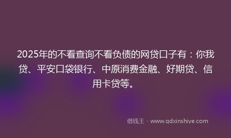 2025年的不看查询不看负债的网贷口子有：你我贷、平安口袋银行、中原消费金融、好期贷、信用卡贷等。