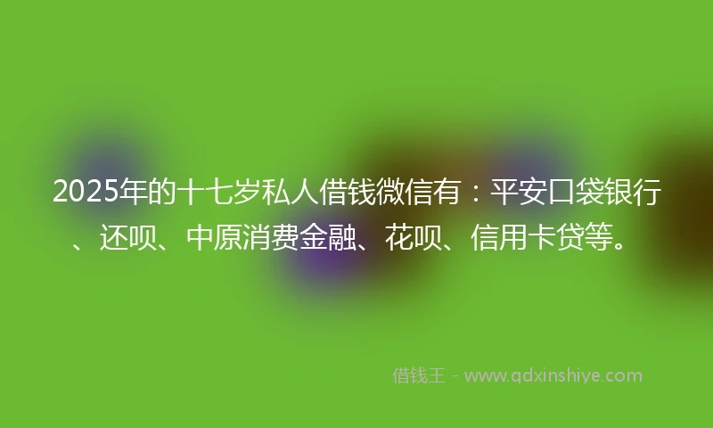 2025年的十七岁私人借钱微信有：平安口袋银行、还呗、中原消费金融、花呗、信用卡贷等。