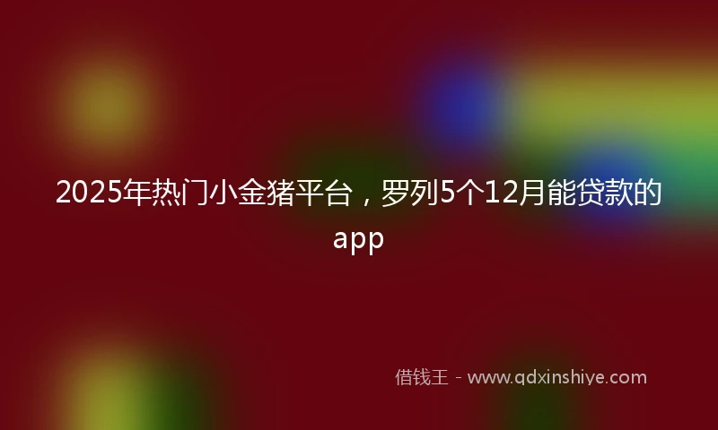 2025年热门小金猪平台，罗列5个12月能贷款的app