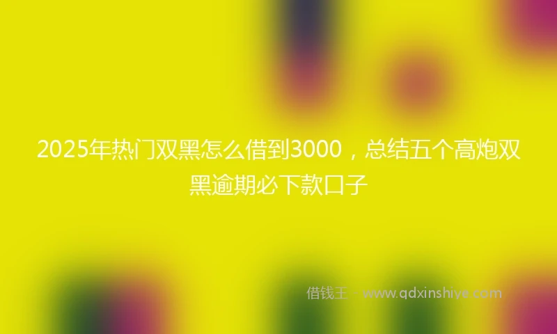 2025年热门双黑怎么借到3000，总结五个高炮双黑逾期必下款口子