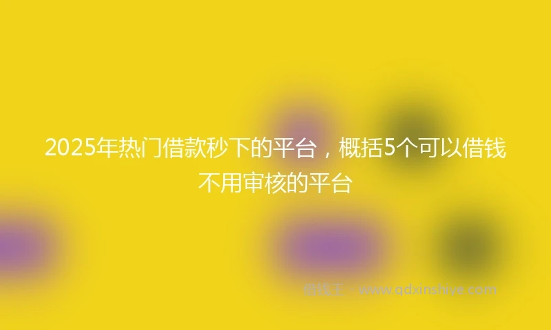 2025年热门借款秒下的平台，概括5个可以借钱不用审核的平台