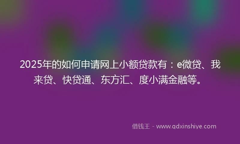 2025年的如何申请网上小额贷款有：e微贷、我来贷、快贷通、东方汇、度小满金融等。