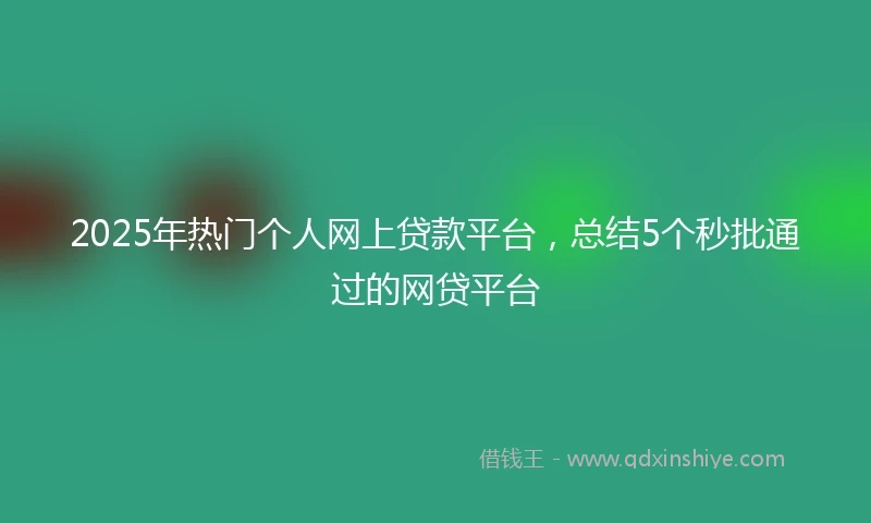 2025年热门个人网上贷款平台，总结5个秒批通过的网贷平台