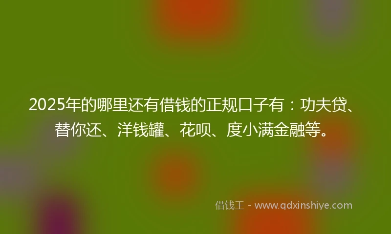 2025年的哪里还有借钱的正规口子有：功夫贷、替你还、洋钱罐、花呗、度小满金融等。