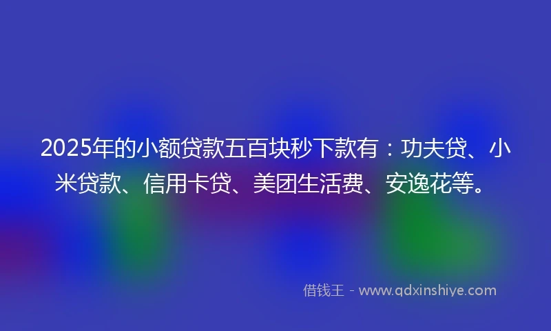 2025年的小额贷款五百块秒下款有：功夫贷、小米贷款、信用卡贷、美团生活费、安逸花等。