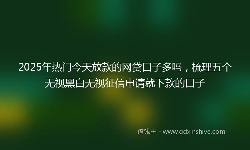 2025年热门今天放款的网贷口子多吗，梳理五个无视黑白无视征信申请就下款的口子